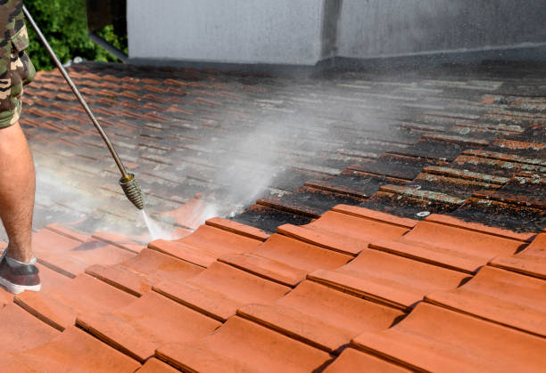 Local Pressure Washing Services in Mound Bayou, MS