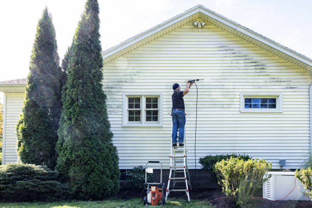 Best Affordable Pressure Washing  in Mound Bayou, MS
