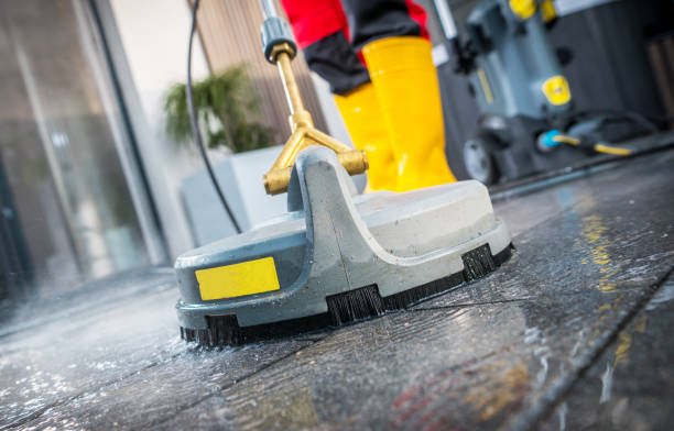 Best Pressure Washing Near Me  in Mound Bayou, MS