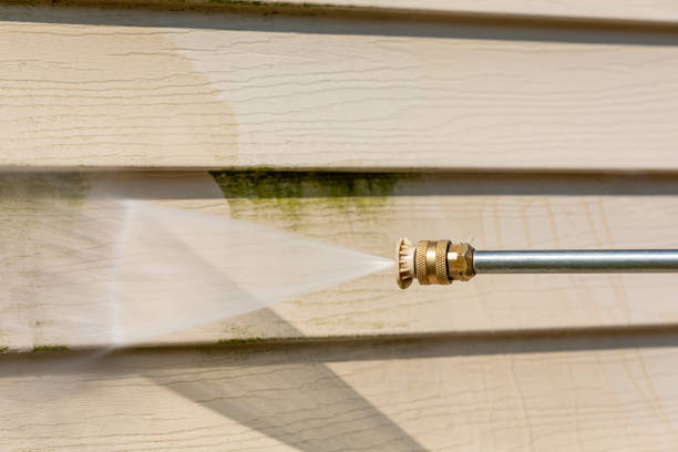 Local Pressure Washing Services in Mound Bayou, MS